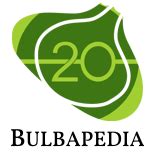 bulbapedia type colors.